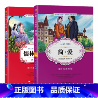 儒林外史+简爱 [正版]儒林外史+简爱 原著青少年中小学生四五六年级读物彩绘版古典文学彩图版白话文无障碍阅读书籍排行