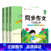 搭本作文能读又能写[三年级上4本] [正版]快乐读书吧三年级上册+下册必读的课外书人教版 稻草人 安徒生童话 格林童话