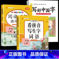 3本 [四年级](上)写好中国字+看拼音写词语+阅读理解专项 [正版]写好中国字字帖二年级上册练字帖小学生一三年级四年级