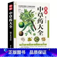 图解中草药大全 [正版] 彩图全图全解中草药大全 中药材识别图鉴书籍 中医入门中草药大全书籍药材植物彩图中药大全书中医大