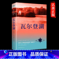 瓦尔登湖 [正版]瓦尔登湖 经典文学小说名著现当代经典小说名著经典文学青少年课外阅读书籍