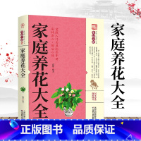 [正版] 家庭养花大全 新手实用居家健康花草大全室内养花书籍种花大全盆景家庭养花实用技巧盆栽入门实用指导手册家庭养花大