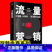 [正版]流量营销 电商经营政策转化率策略书 小预算大渗透变流量为增量低成本解决碎片化流量时代的营销策略流量营销策略指南