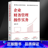 企业财务管理操作实务 [正版] 企业财务管理操作实务 一本书解决企业的财务管理问题 提高财务管理提升财务思维内容丰