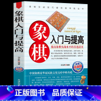 [正版]书籍 象棋入门与提高 棋牌提升水平 象棋书籍战术中国象棋书籍大全象棋江湖残局破解 象棋入门教程实战学习象棋教学