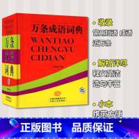 [正版] 万条成语词典 中小学生成语词典释义近义反义造句万条大词典书籍 中小学生工具书 小学生常用短语成语释义造句