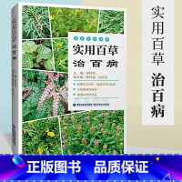 [正版]实用百草治百病 草药高清图片大全常见病症 中医经典方选方指南保健养生食疗养生常用全草入药青草药识别百科书 天诺