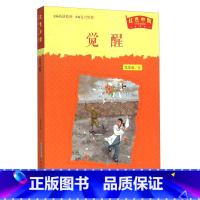 红色中国:觉醒 [正版]红色中国系列·纪念版全9册+麻雀打鬼子+觉醒+花塘往事+南方以南+父与子的1934+大人们的那些