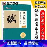 [正版]赵孟俯前后赤壁赋单字放大本全彩版墨点毛笔字帖行书入门基础教程湖北美术出版社毛笔书法字帖书法课全集临本赵孟俯行书