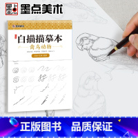 [正版]中国画白描零基础入门墨点美术工笔画描摹本线描画册禽鸟动物工笔画底稿白描画稿国画临摹画册