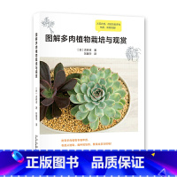 [正版]图解多肉植物栽培与观赏 常见多肉植物这样养多肉植物种植养护图鉴多肉花卉栽培技术书籍