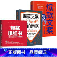 [正版]3册 小红书:从零到百万粉丝的玩赚策略+文案与营销策略+文案写作训练手册 内容核心方法论自媒体账号