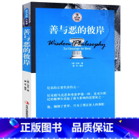 [正版]善与恶的彼岸 西方大师的智慧尼采的代表作之一 影响了20世纪精神生活悲剧的诞生权力意志等存在与虚无作品书籍尼