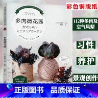 [正版] 多肉微花园//家庭养花书籍肉肉植物零基础养多肉园艺花卉种植新手一起玩多肉就这么玩不败指南空气凤梨多肉花艺养