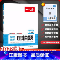 数学 八年级/初中二年级 [正版]2024新版 八年级数学压轴题 初中数学有理数方程 初二数学必刷题上下册通用 数学专题