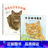 寻找自己名字的猫+今咪看家 [正版]寻找自己名字的猫+今咪看家 2册 猫咪故事绘本 3-6岁