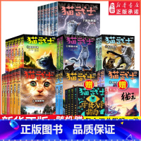 (礼箱装)猫武士1-7部曲全套42册 [正版]猫武士全套42册第七部曲首部曲一二三四五六7八部曲外传传奇的猫族 中小学生