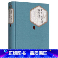 [正版] 童年 在人间 我的大学 书 高尔基三部曲原著完整版世界名著 青少年版初中高中生小学生版四五六年级课外书