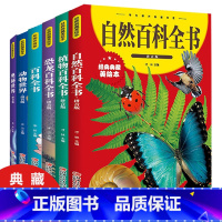 六册全集 [正版]恐龙百科全书+自然百科全书+植物百科全书 拼音版经典典藏美绘本/学生课外阅读书系