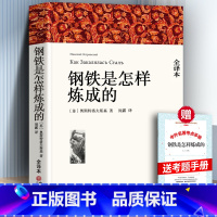 钢铁是怎样炼成+考题册 [正版] 全译本无删减 钢铁是怎样炼成的 原著初中生全本无删减中文版原文原著课外书小说经典文