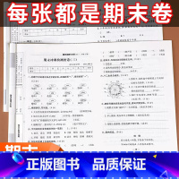 [特惠]期末冲刺100分+期末总复习 全4册 二年级下 [正版]2023新期末冲刺100分二年级下册试卷测试卷全套人