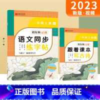 [二年级上]语文同步字帖 二年级上 [正版]小学生语文同步练字帖二年级上册刘有林正楷字帖RJ人教版2年级规范书写楷书字帖