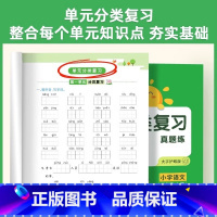 [单册]分类复习语文 一年级上 [正版]2023秋新版阳光同学单元分类复习一二三四五六年级上册语文真题检测专项强化训练人