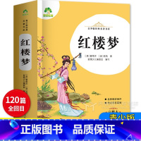 红楼梦 1040页 [正版]爱德教育 青少版经典名著书库 红楼梦 完整本 小学生青少年版课外书 三四五六年级精讲细评考点