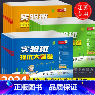 [3本]3年级上 语数英 小学通用 [正版]2024实验班提优大考卷一二年级上册三年级四年级五六年级语文数学试卷测试卷全