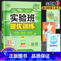 数学 八年级上 [正版]2023 实验班提优训练八年级数学 苏教版江苏苏科版 初二8八上同步练习册专项训练辅导资料书初中