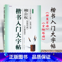 [正版] 柳公权神策军碑玄秘塔碑 楷书入门大字帖 武道湘编著 中国书法入门教程 柳体楷书毛笔书法临摹字帖 基本笔画