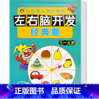 [正版]河马文化 左右脑开发经典题5-6岁 智力开发 幼儿益智力潜能开发 低幼图书籍 亲子游戏读物