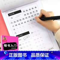 [正版]庞中华钢笔字帖楷书入门基础教程 间架结构 成人学生正楷硬笔字帖