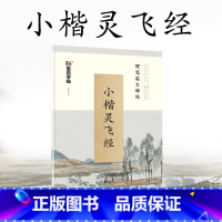 [正版]墨点硬笔书法字帖临古碑帖小楷灵飞经字帖成人初学者大学生楷书行楷古风字体女生男生硬笔小楷灵飞经钢笔字帖