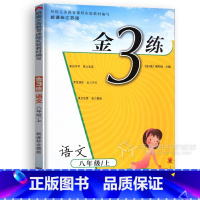 8上语文[全国] 八年级上 [正版]2024金三练八年级上册下册语文人教数学江苏教版苏科英语译林版物理初二8年级全套练习