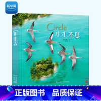 生生不息 [正版]网生生不息 Circle 珍妮贝克著 一只鸟的迁徙 壮阔视野下的生命斑尾塍鹬 拼贴画 读小库儿童书绘本