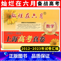 数学 上海 [正版]2024版灿烂在六月上海高考真卷 数学 2012&mdash;2023上海高考模拟强化测试精编历年真