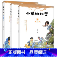 [正版]小镇的秘密 全三册 共3册 宋耀珍 飞行人 梦想家 叠世界 三四五六年级儿童文学奇幻探险小说 中小学生课外阅读