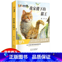 [正版]百年经典 儿童文学名家作品集:我家楼下的猫王 中小学语文课外阅读经典文库 阅读与鉴赏小学生课外阅读书 三四五六