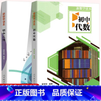 初中几何+代数 初中通用 [正版]新数学读本 初中代数 初中几何(套装共2册)高存明 人民教育出版社