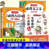 必背文学常识+古诗词+文言文 小学通用 [正版]小学生背文学常识积累大全人教版语文知识手册中国古现代国外文学题库集锦古诗