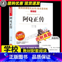阿Q正传 [正版]陶奇的暑期日记冰心原著必小学生34课外阅读书籍三年级四五六青少年人民儿童文学教育读物天地出版社注释全集