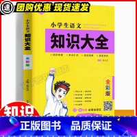 小学生语文知识大全 小学通用 [正版]小学生语文知识大全通用版全彩版 思脉图书小学小升初语文总复习资料知识大盘点专项训练