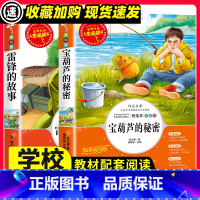 [正版]广东省清北阅读三年级全2册原著宝葫芦的秘密+雷锋的故事老师三年级小学生必课外丛书阅读书籍山东大学出版社无障碍阅