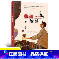 非法智慧 [正版]非法智慧/豆蔻镇书系 张之路原著彩图儿童6-12周岁科幻一二三四五六年级课外书经典文学故事入选中小学生