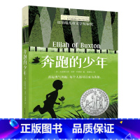 奔跑的少年 [正版]奔跑的少年 长青藤国际大奖小说书系列 9-14岁儿童文学故事书 中小学生课外阅读书籍456年级课外阅