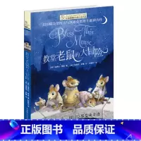 教堂老鼠的大冒险 [正版]教堂老鼠的大冒险长青藤国际大奖小说书系列 儿童文学作品 初中小学阅读书目 青春励志文学9-12