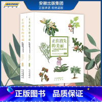 [正版] 正在消失的美丽 全2卷动物卷+植物卷中国濒危动植物寻踪 管开云郭忠仁 主编 北京出版社
