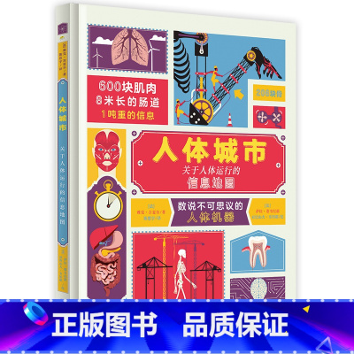 人体城市 [正版]奇想国童书绘本适合5-10岁《人体城市》