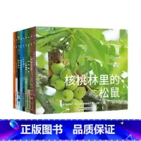 《嘘,你看见了吗?》共9本3-8岁 [正版]童书动物百科绘本 《嘘!你看见了吗》 共9本3-8岁儿童书籍小班中班大班幼儿